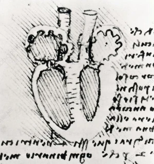 Galileo's Heart
